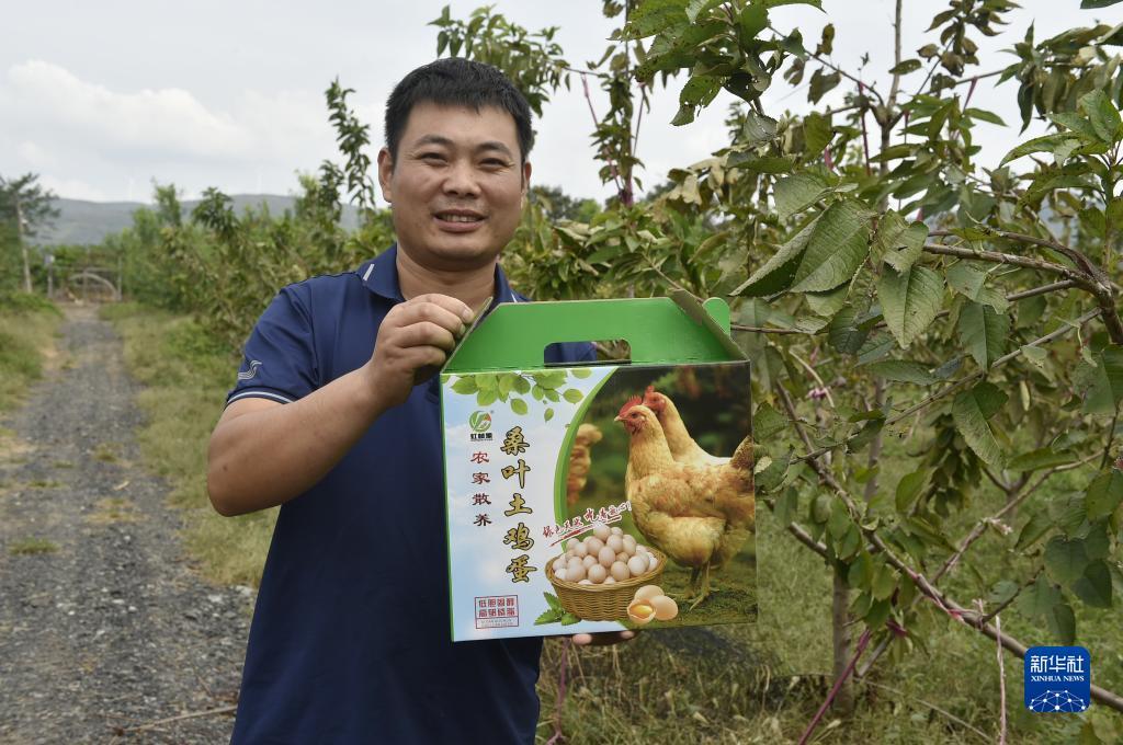 手机购彩app下载